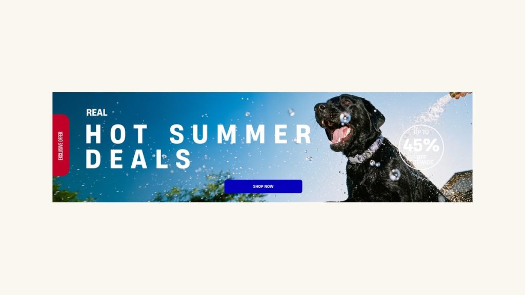 Dog Friendly Co Review (2026): Is This No-Pull Harness Legit?