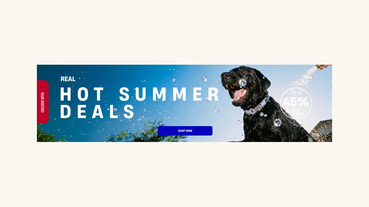 Dog Friendly Co