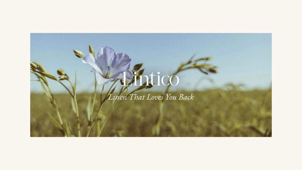 Lintico Review (2026): Is Linticoshop Legit and Safe to Buy From?