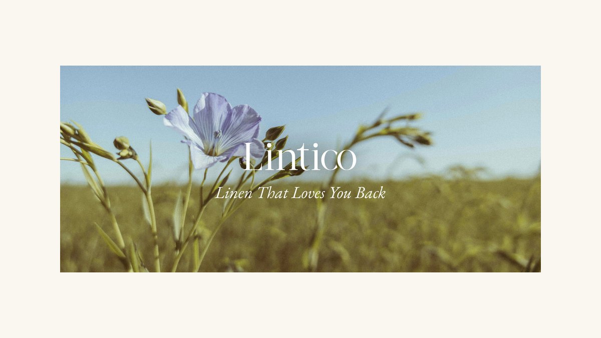 Lintico