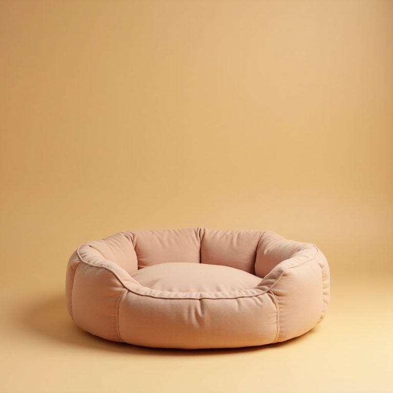 Barkbox Memory Foam Dog Bed
